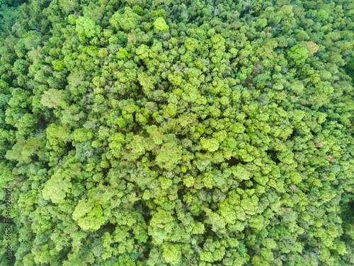 Aerial shot with a drone of a tropical rain forest in Thailand.