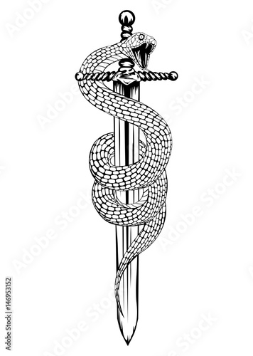 sword snake