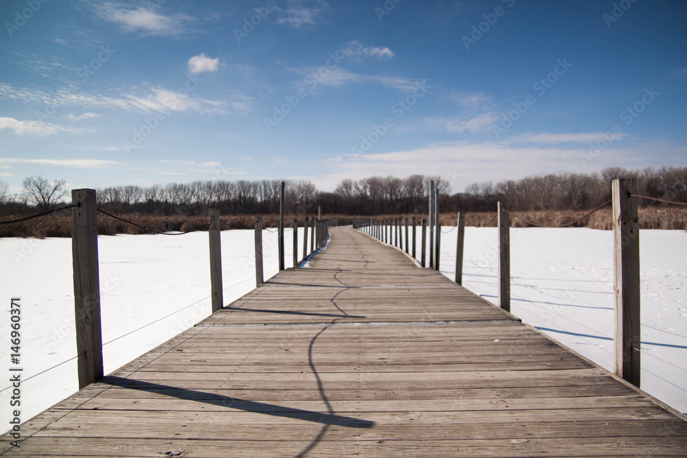 Fototapeta premium Winter Bridge