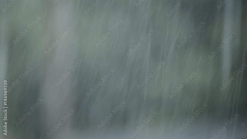 TIOMAN ISLAND, MALASIA - 8 April 2017 : Heavy Tropical Rainfall in Rainforest Background. TIOMAN ISLAND, MALASIA - 8 April 2017 : Heavy Tropical Rainfall in Rainforest Background.