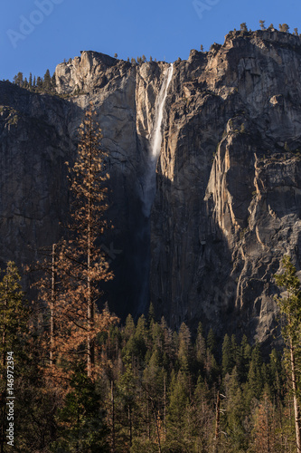 Obraz na plátně Bridalveil Fall Yosemite National Park