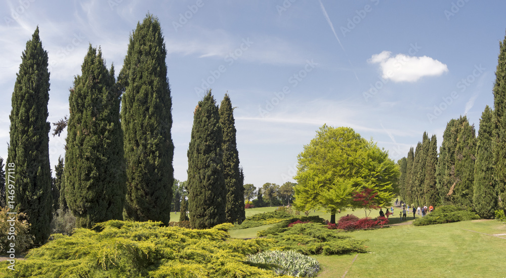 Valeggio sul Mincio, Verona. Landscape of the green meadow grass, the ornamental trees and colorful flowers during the spring time at Sigurta natural park
