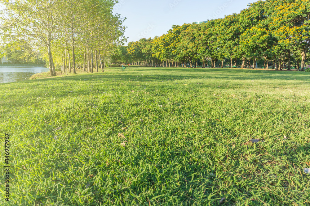 Obraz premium Beautiful Public green park in Autumn at Vachirabenjatas Park (Rot Fai Park) Bangkok, Thailand.