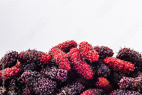 mulberry isolated on the white background