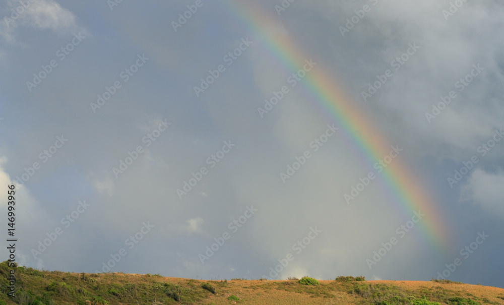 Rainbow over hill with copy space