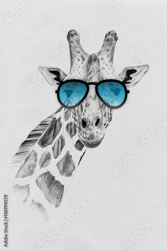 Canvas Print Portrait of giraffe drawn by hand in pencil in sunglasses