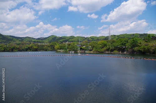 新緑の津久井湖