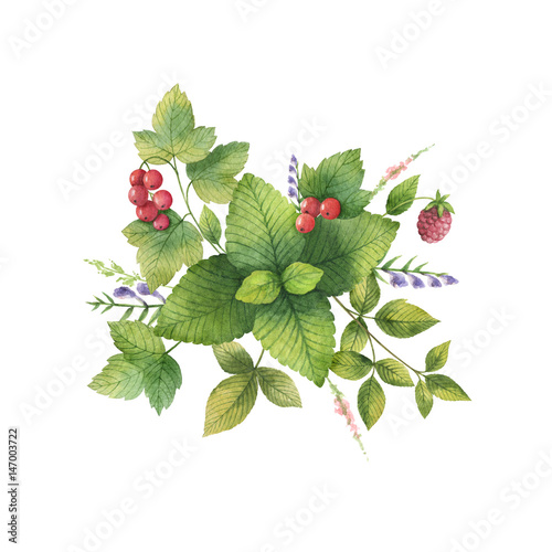 Watercolor bouquet with green herbs and spices.