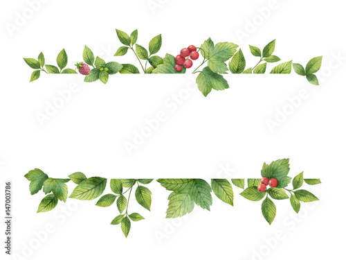 Watercolor banner with green herbs and spices.