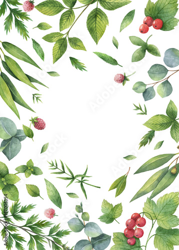 Watercolor hand painted floral card with green herbs and spices.