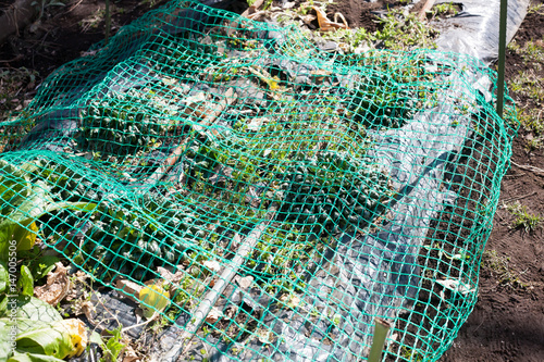 Farm products protected by a green plastic net  from birds