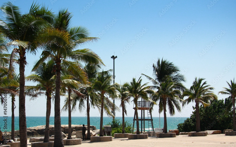 Flowers grass and Coconut trees a beautiful background