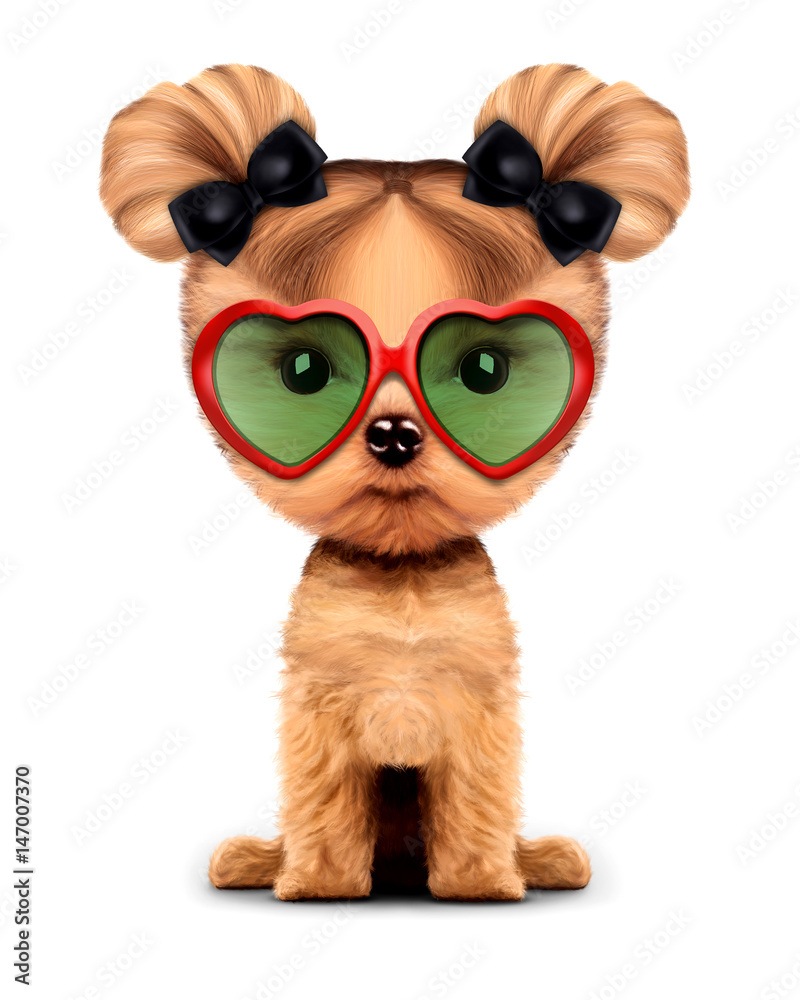 Fototapeta premium Adorable doggy with sunglasses, isolated on white.