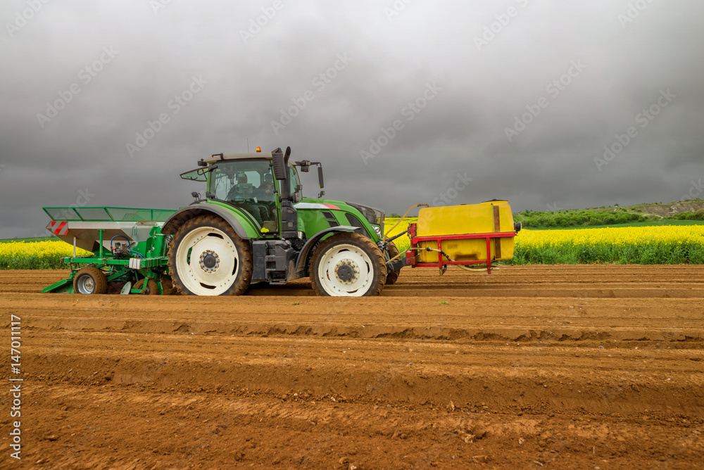 Obraz premium planter les pommes de terre
