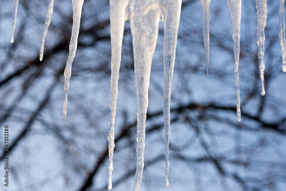 viele Eiszapfen glänzen in der Sonne viele Eiszapfen glänzen in der Sonne