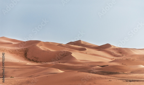 Sand Dunes © Sergei