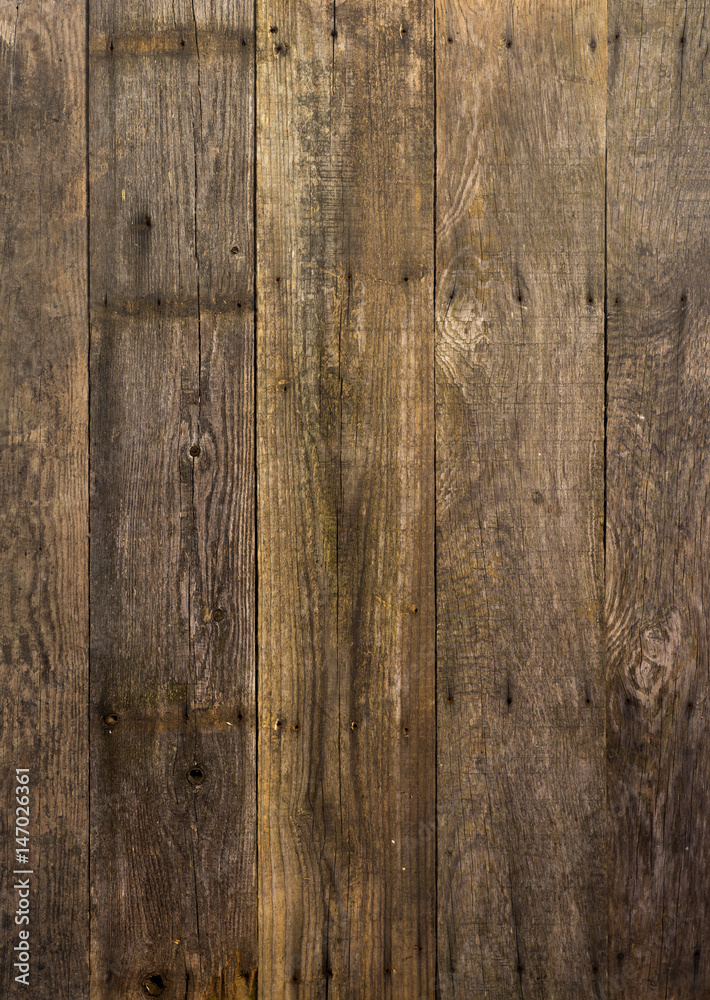 Naklejka premium Diferents types of pizza cut on wooden table