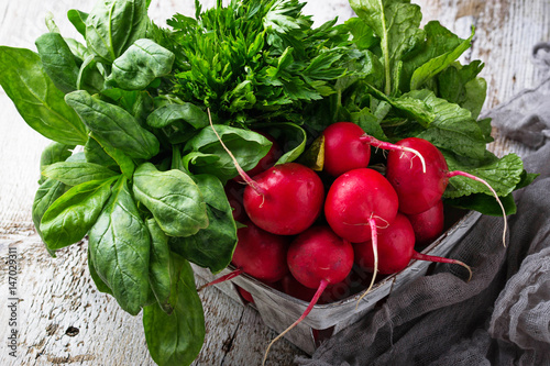 Fresh radishes, spinach and parsley