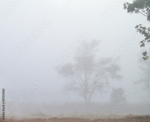 Beautiful landscape in the forest mountains majestic view Foggy Morning. Fog caused by the Reservoir at Khao Kho National Park, Thailand.