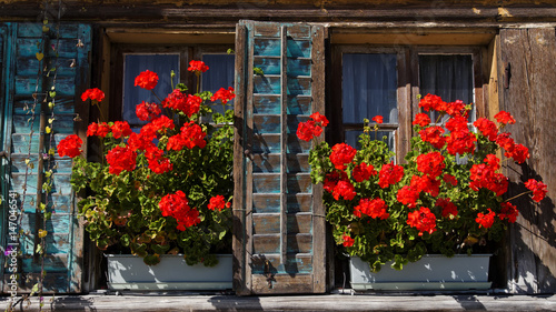 Bauernhaus mit Geranien in Häusernmoos in der Gemeinde Affoltern im Emmental Kanton Bern © berner51