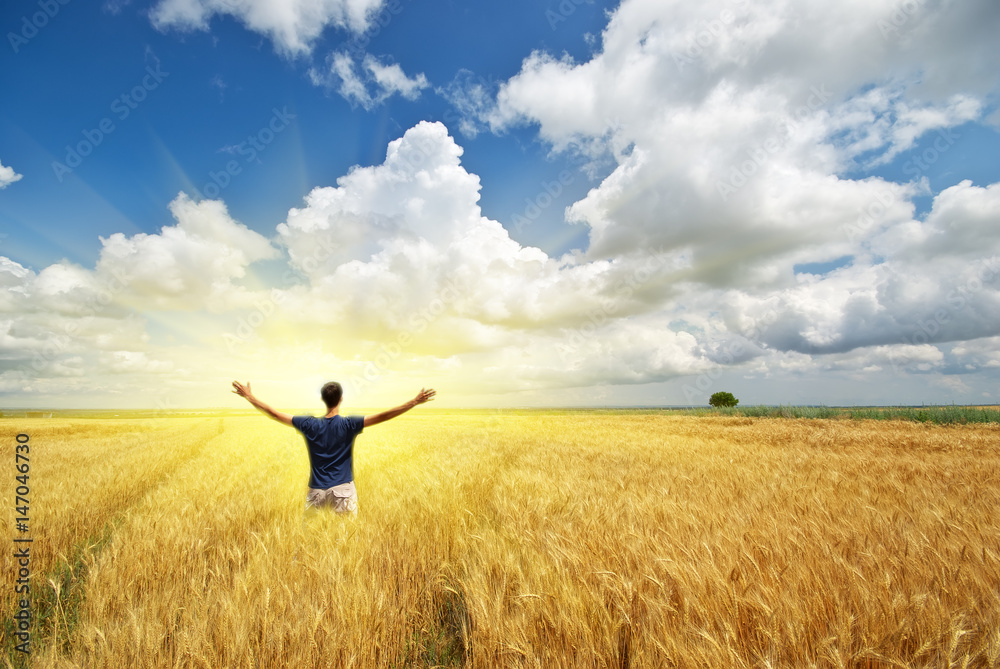 Man in meadow of wheat