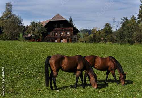 Im Churzeneigrabe bei Wasen im Emmental in der Gemeinde Sumiswald