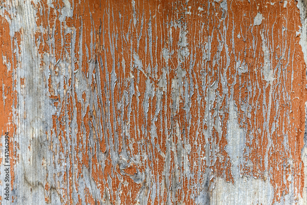 Peeling paint on an old planks Peeling paint on an old planks