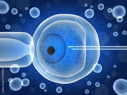 Принти на полотні Artificial ovum fertilization