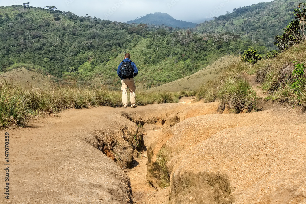 Man hiking in scenic savanna path in Sri Lanka