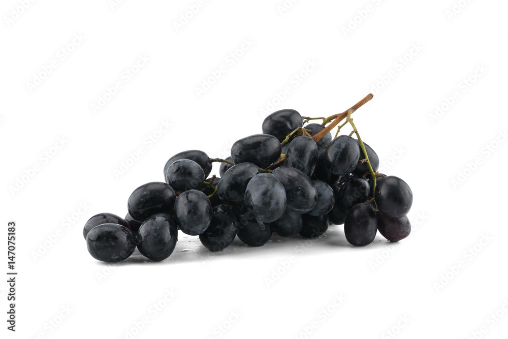 Fresh black grapes with water drops isolated on white background Fresh black grapes with water drops isolated on white background