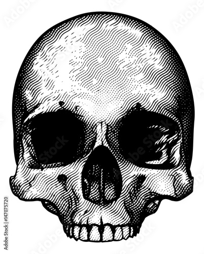 Skull Design