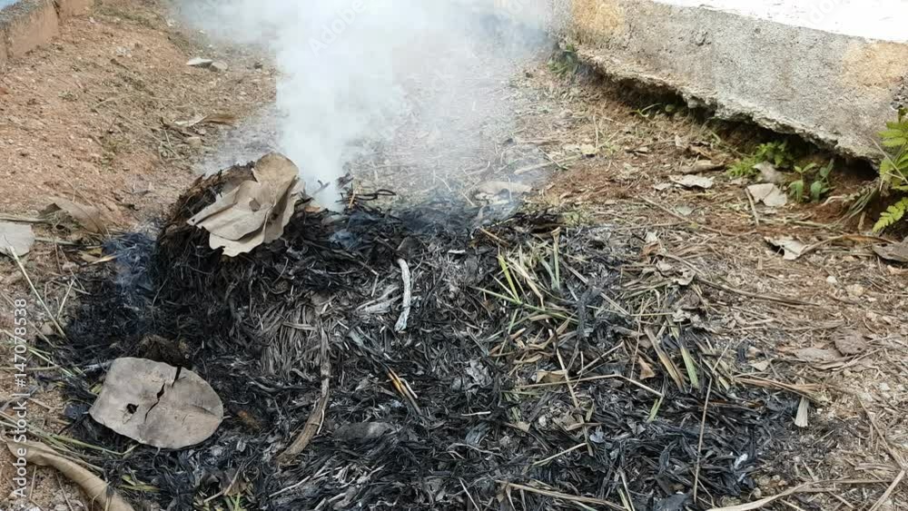 smoke from burning plants in Thailand, , ecology concept Stock Video