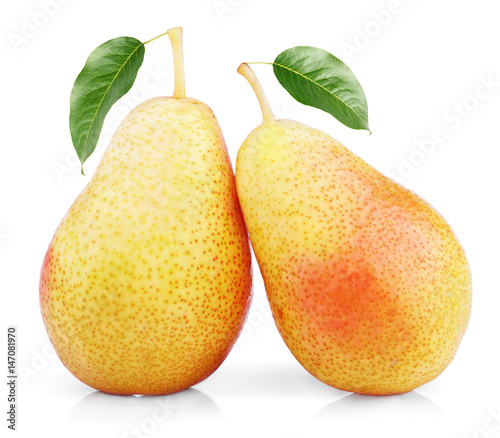 Two ripe red yellow pear fruits with green leaves standing isolated on white background