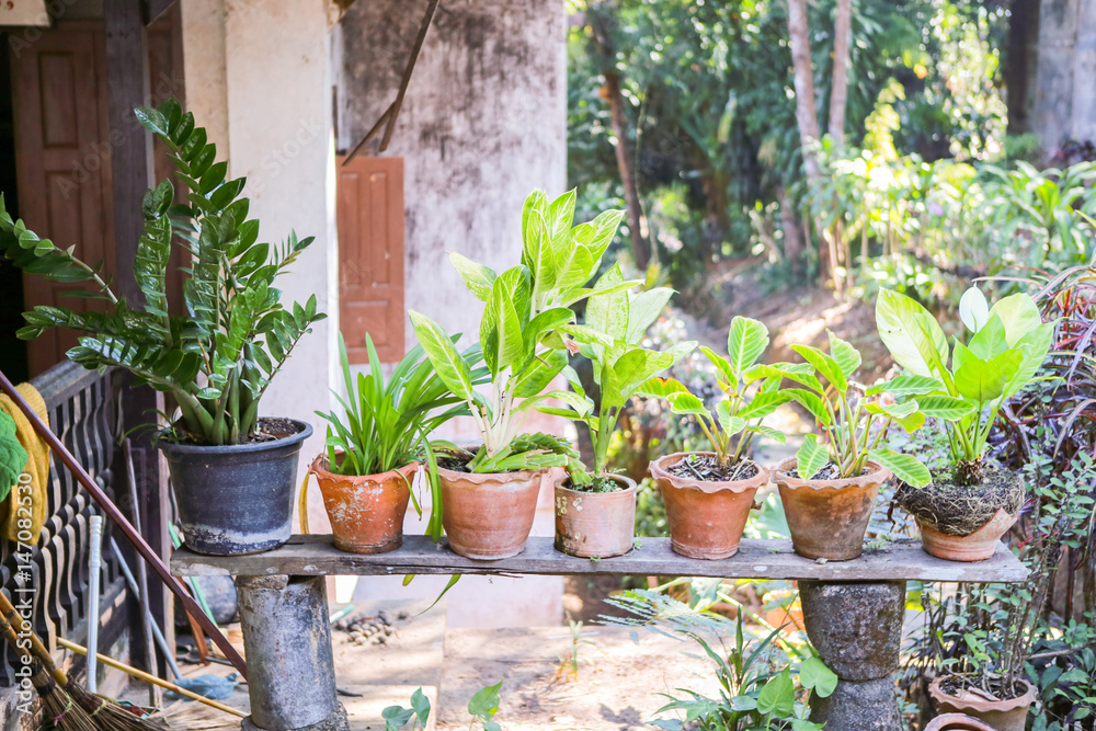 flowerpot flowerpot