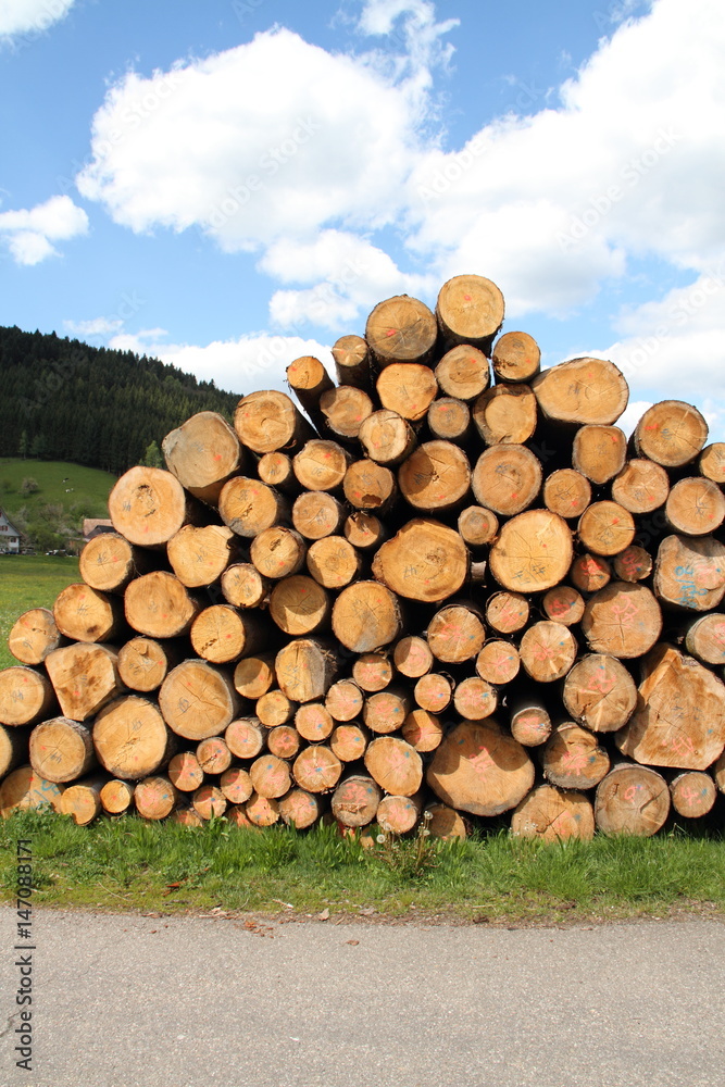 Holzstapel im Schwarzwald