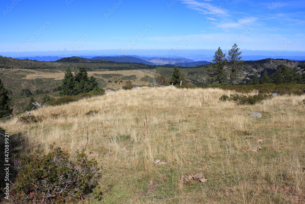 Prairie dans les Pyrénées audoises, Occitanie dans le sud de la France