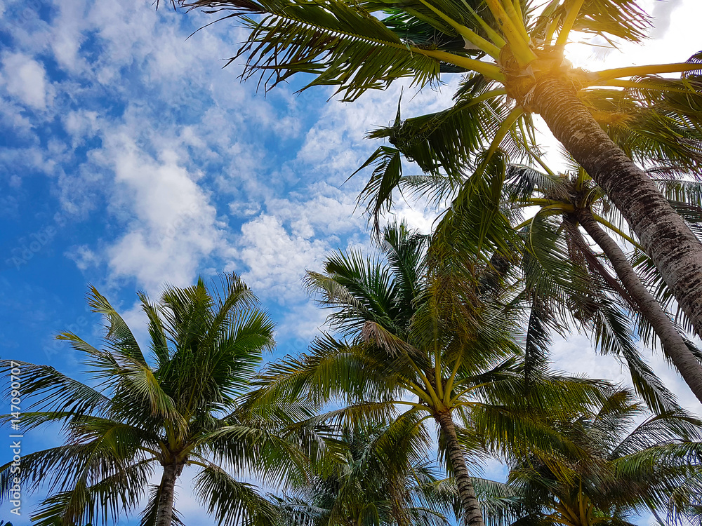 Beautiful tropical sunset with palm trees at beach Beautiful tropical sunset with palm trees at beach