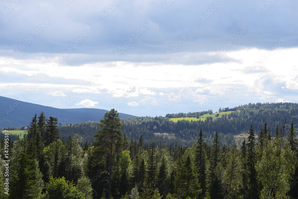 Obraz premium Landsbyg, jämtland, sverige