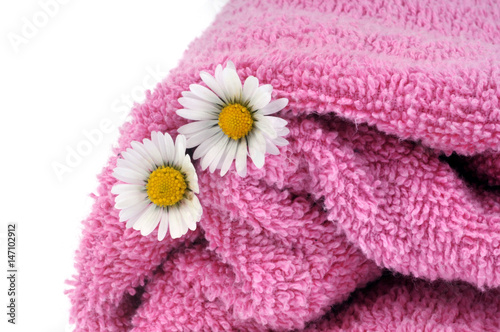Pâquerettes dans une serviette de bain rose