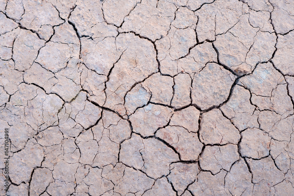 Cracked earth texture background Cracked earth texture background