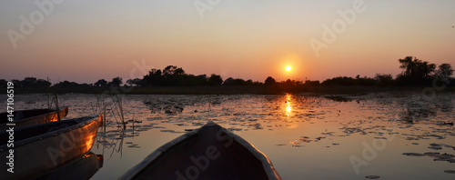 Okavango Delta photo
