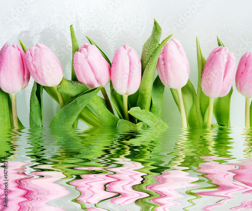 Fototapeta Naklejka Na Ścianę i Meble -  Pink tulips flowers reflected in a water