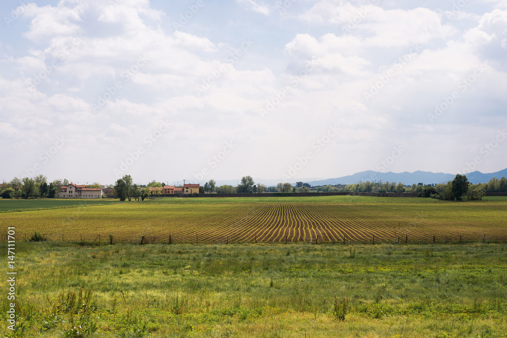 Campagna