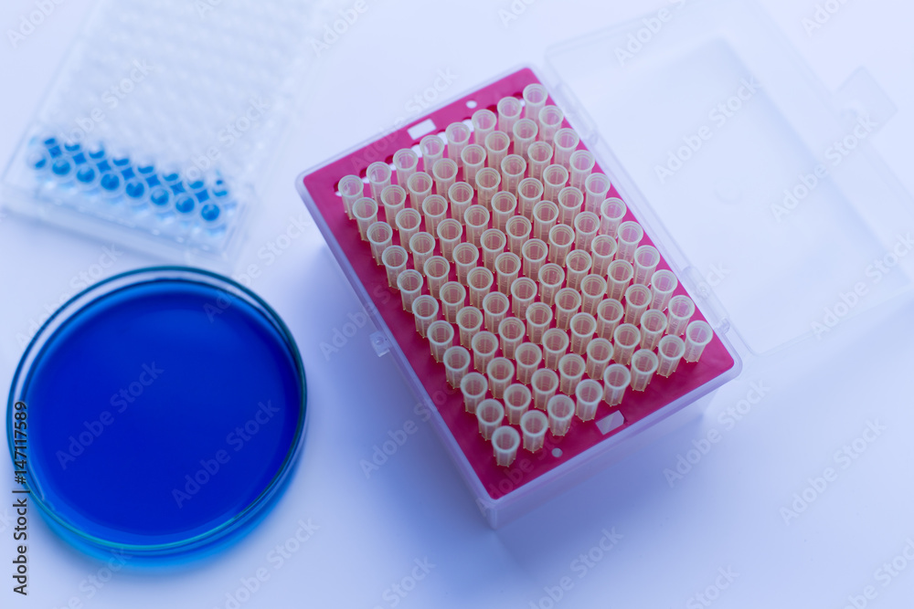Experimental research analysis in laboratory. Experimental research analysis in laboratory.
