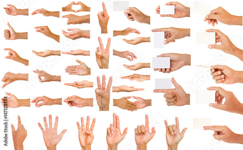 collection of hands
