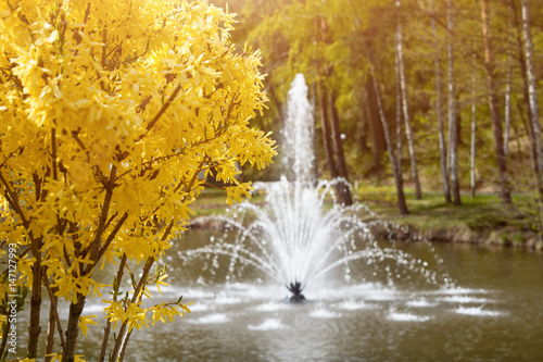 Ornamental gardens with lake  blooming bushes and fountain