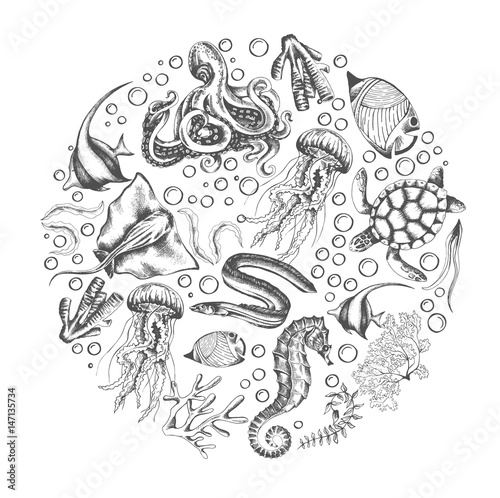 Set of marine animals