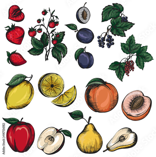 set of fruits and berries
