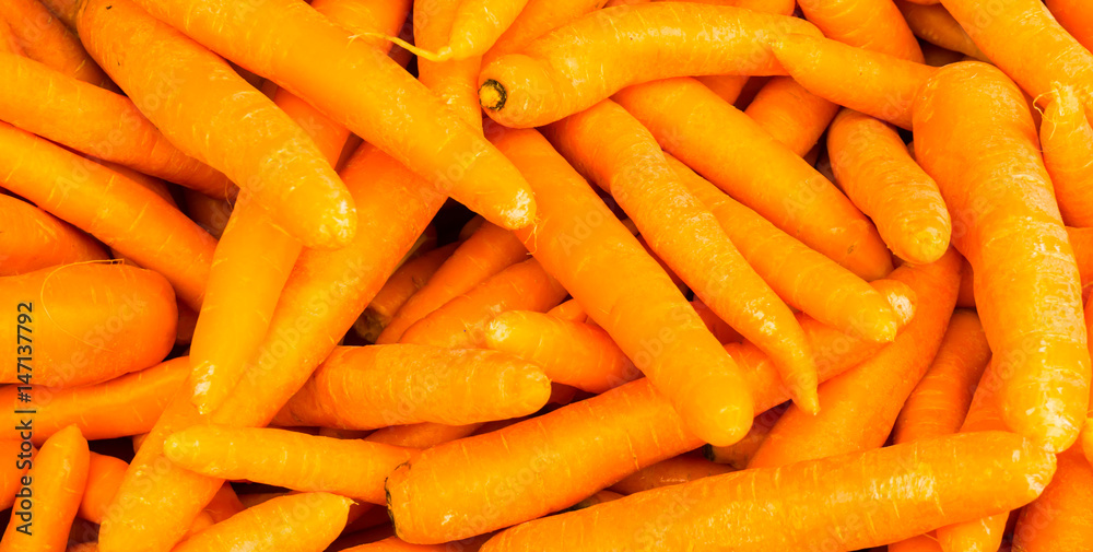 organic food carrot. background organic food carrot. background