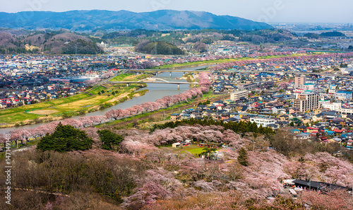Top view of the city and the row of cherry trees along the shiroishi river ,funaoka sendai japan.